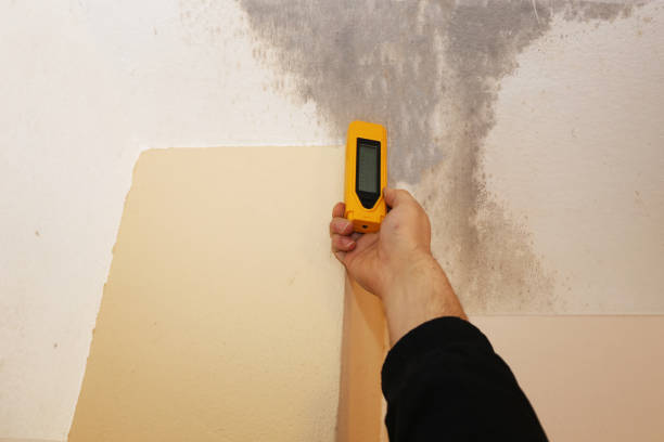 Best Emergency Mold Remediation  in Lake Mills, IA