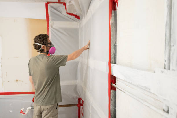 Best Black Mold Removal  in Lake Mills, IA