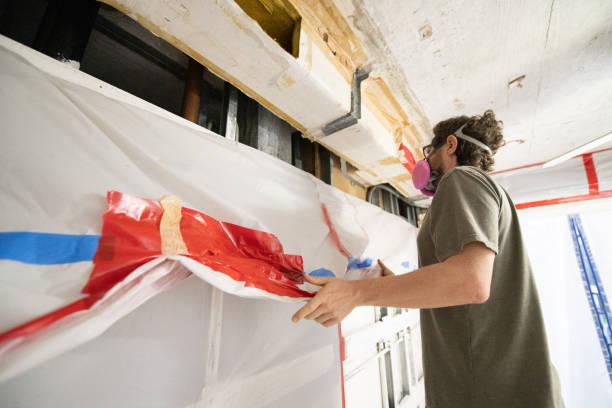 Best Real Estate Mold Inspection  in Lake Mills, IA