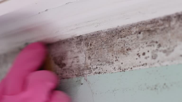 Best Indoor Air Quality Assessment  in Lake Mills, IA